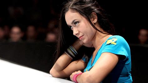Did A WWE Superstar Take A Shot At AJ Lee On Twitter