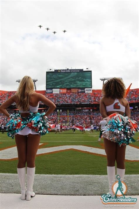 Tampa bay buccaneers cheerleaders images. Miami Dolphins Cheer | Dolphins cheerleaders, Miami dolphins, Miami dolphins cheerleaders