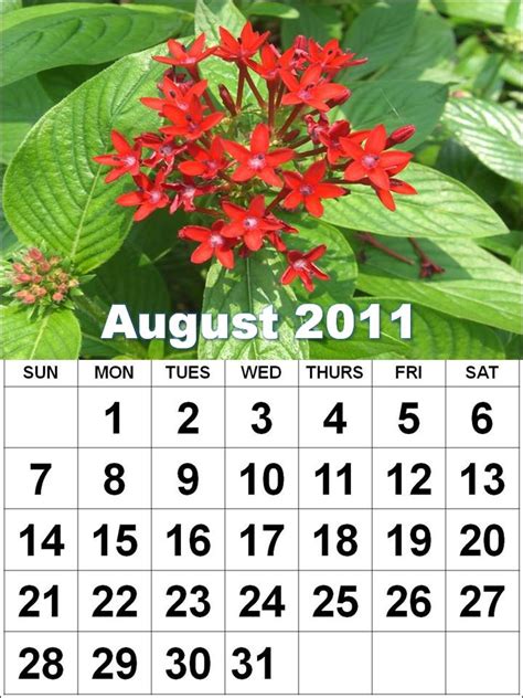The Beauty Of Life August Calendars