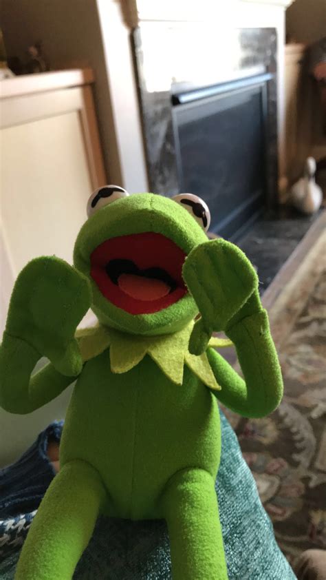 Pin On I Caved And Made A Kermit Board
