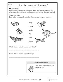 This fun facts about marsupial mammals. Does it move on its own? | 1st grade, 2nd grade, 3rd grade ...