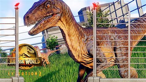 Raptors Can Climb Fences New Escapes Confirmed Jurassic World Evolution 2 News And Analysis