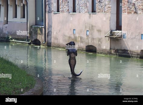 Mermaid Statue On The River In The Centre Of Treviso Italy Stock Photo