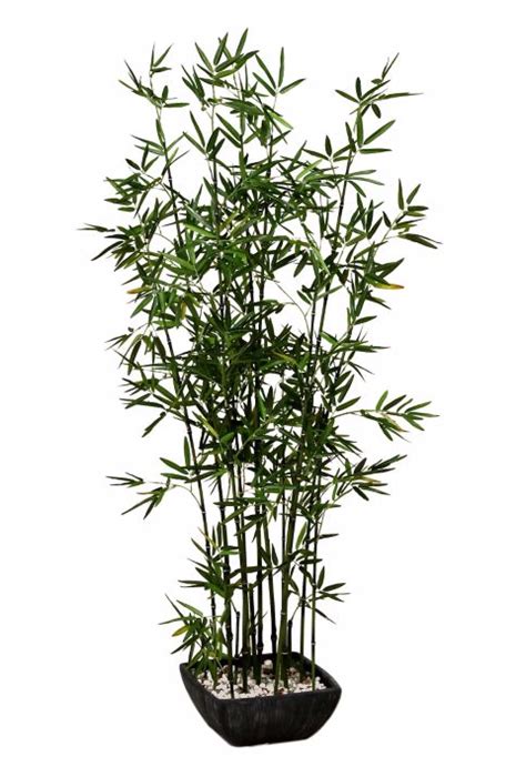 Artificial Bamboo Tree In Pot 5 Ft Potted Trees Bamboo Tree Bamboo