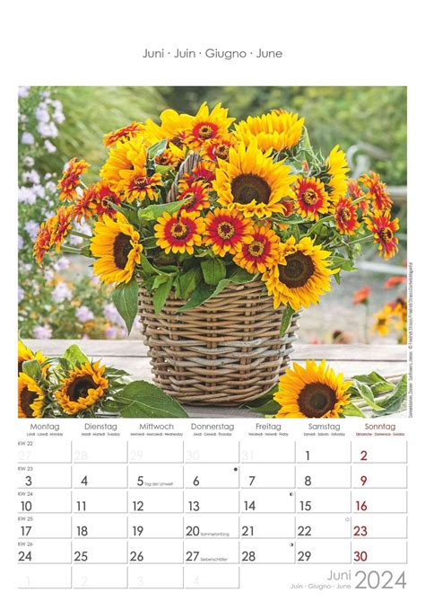 Blumen 2024 Bildkalender 237x34 Cm Kalender Mit Platz Für Notizen