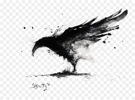 raven black and white hd png download vhv