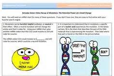 Answers are in the video, in order but you can use google to help you if you aren't sure. DNA vs. RNA + Protein synthesis handout made by the Amoeba ...