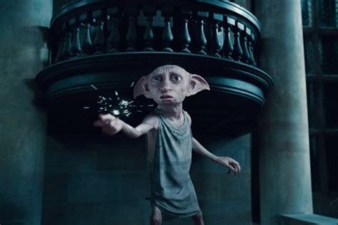 Dobby was overjoyed that harry potter was just as he remembered. Hauself | Harry-Potter-Lexikon | FANDOM powered by Wikia