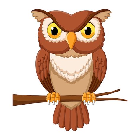 Premium Vector Cartoon Owl On Tree Branch