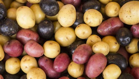 Varieties Of Potatoes