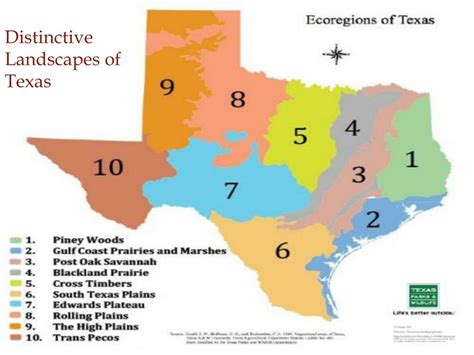 Ppt Elements Of Culture And Cultural Patterns In Texas Powerpoint