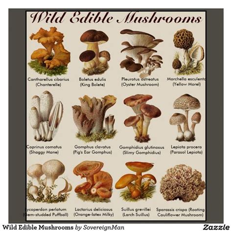 6 Easy Steps To Growing Wild Mushrooms At Home Total