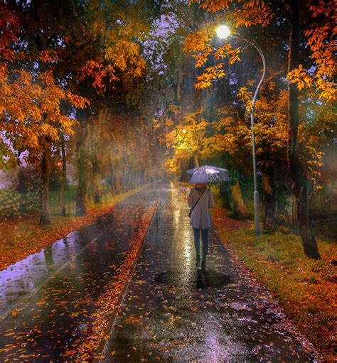 Eduard Gordeev Rainy Day In October Autumn Rain Scenery Autumn Park