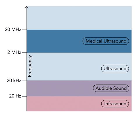 Uses Of Ultrasound Waves