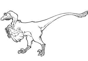 Dibujos Para Colorear Velociraptor Imprimible Gratis Para Los Ni Os