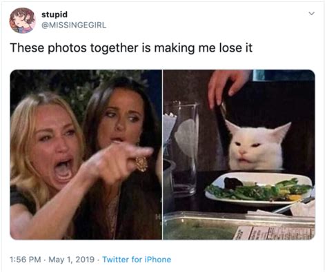 Woman Yelling At A Cat Is Derived From Two Popular Memes