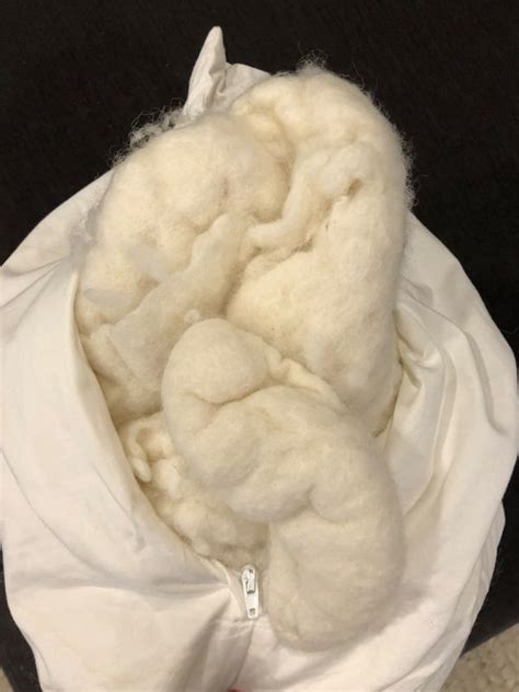 Can A Wool Pillow Help You Sleep Better Without Foul Odors In 2021