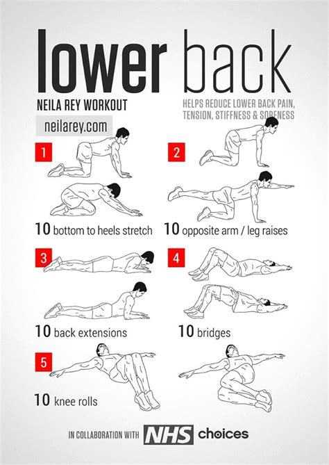 Pin By Abbey On Health Lower Back Exercises Back Exercises Back Workout