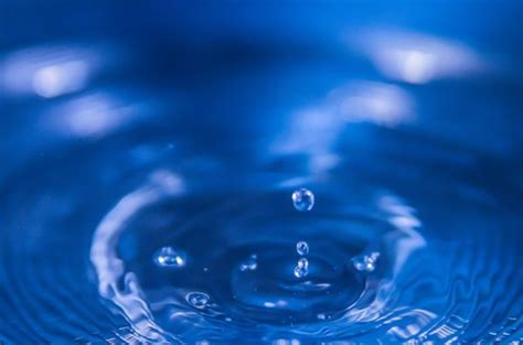 Free Images Water Drop Wave Petal Reflection Macro Blue