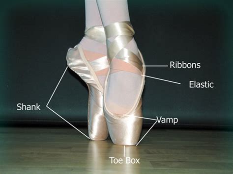 How Do I Buy The Correct Pointe Shoe Northland School