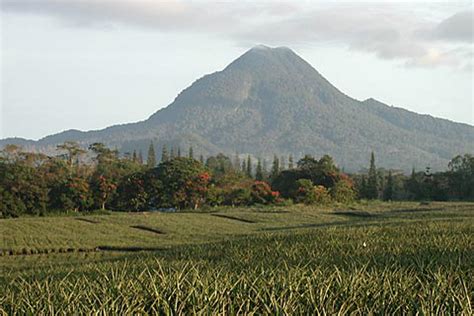 Is The East Mindanao Volcanic Arc Lost Buried Or Eroded — News