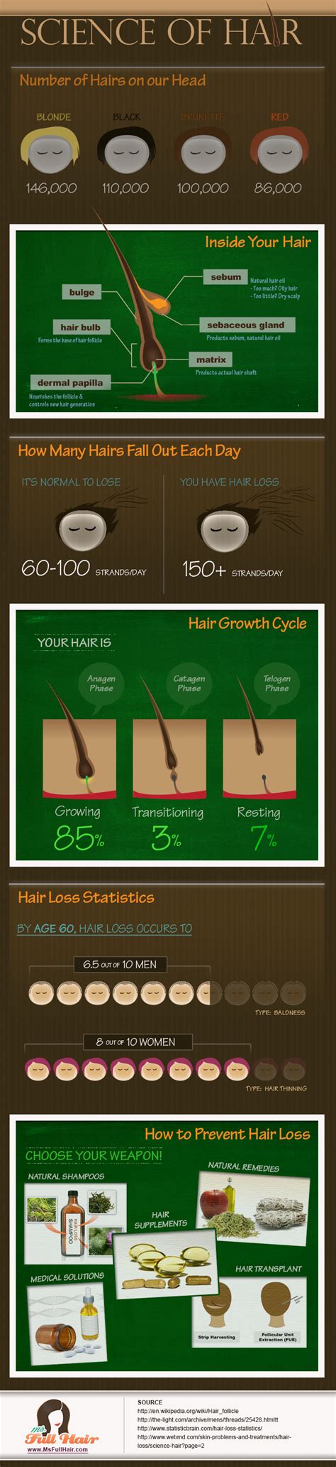 Infographic Science Of Hair Ms Full Hair