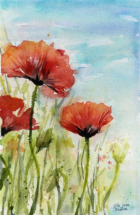 Red Poppies Watercolor Painting By Olga Shvartsur Fine Art America