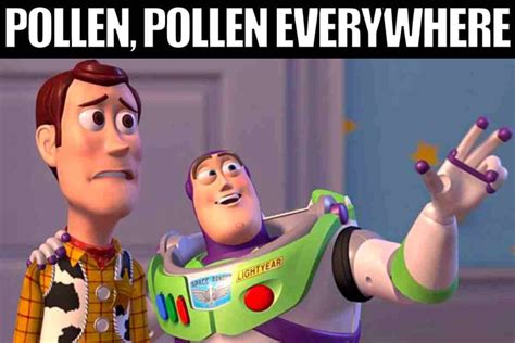20 Funny Pollen Memes To Laugh At And Share