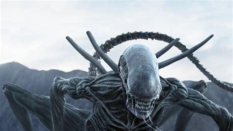 2017 4K Movie Alien Covenant Alien 4K Scene HD Wallpaper
