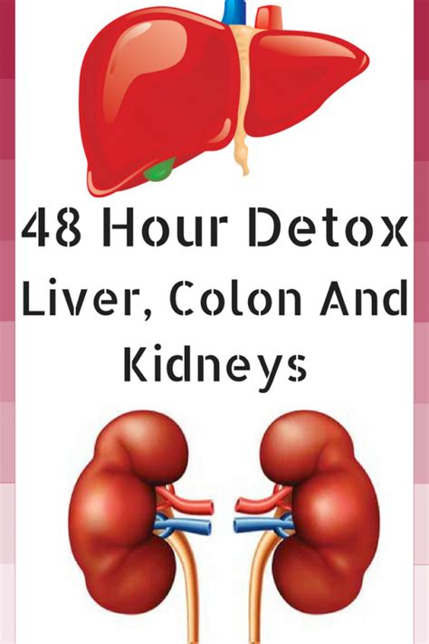 48 Hour Detox For The Liver Colon And Kidneys That Eliminates All Fats