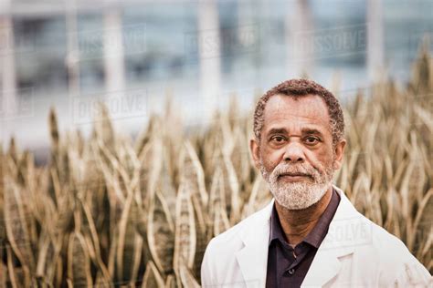 African American scientist working in greenhouse - Stock Photo - Dissolve