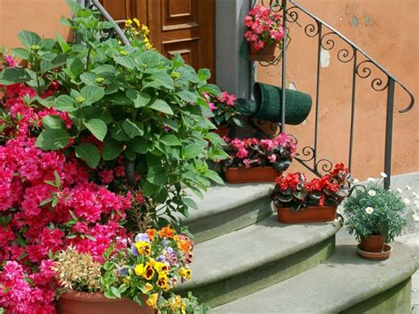 Hier bekommst du einige tolle tipps zu den. Garten Deko Ideen - Die Garten- oder Haustreppe mit Blumen ...