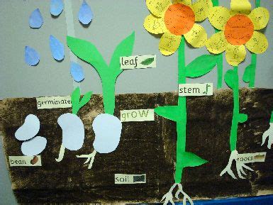 A preschool growing flowers theme that includes preschool lesson plans, activities and interest learning center ideas for your preschool classroom! Planting and growing seeds classroom display photo - Photo ...