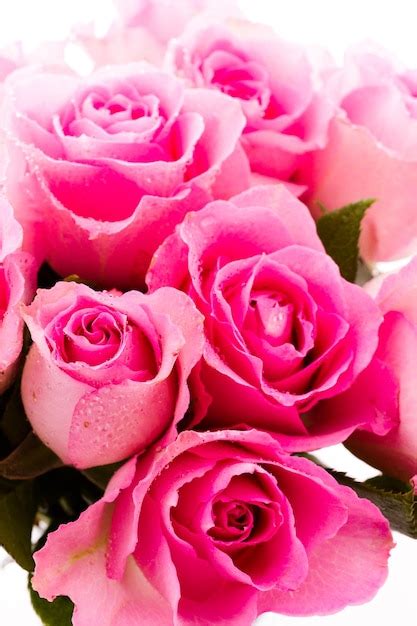 Premium Photo Small Bouquet Of Fresh Pink Roses