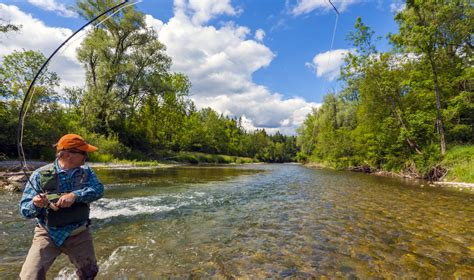 Adventure East Fly Fishing Explore Western Mass
