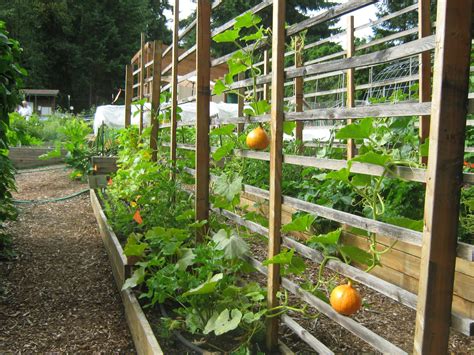 10 Vegetable Garden Trellis Ideas Simphome