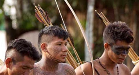 Tapajos Under Attack 12 Indigenous Groups The Amazons Best Land