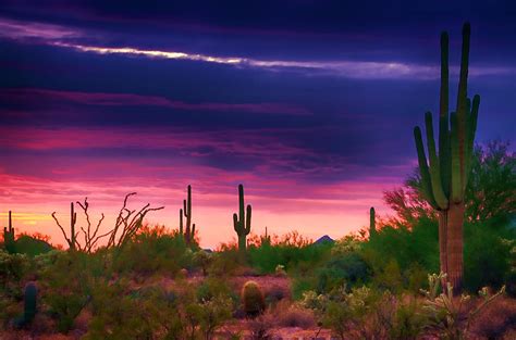Paint The Desert With Color Photograph By Saija Lehtonen Fine Art America