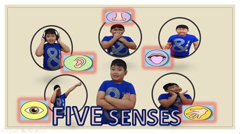 Five Senses │ang Limang Pandama│ Learn From Ern │learn Grade 3 Youtube
