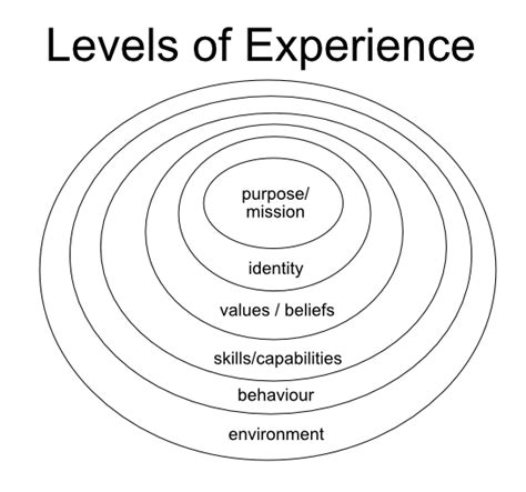 Levels Of Experience X Skills