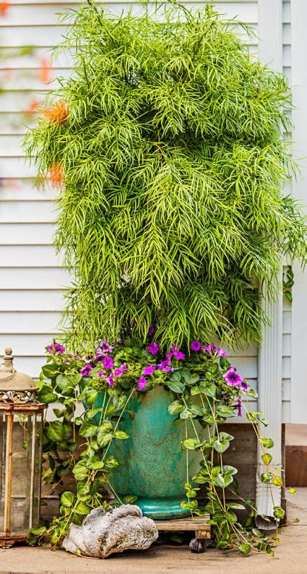 Container Gardens With Pizzazz Midwest Living