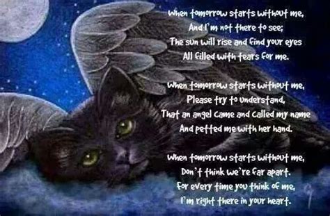 Cat Prayer Cat Loss Pet Remembrance Pet Grief