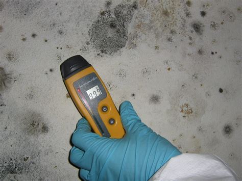 Mold is dangerous and can lead to very serious health problems if not removed right away. An Introduction To Mold Removal - Alpha Mold West