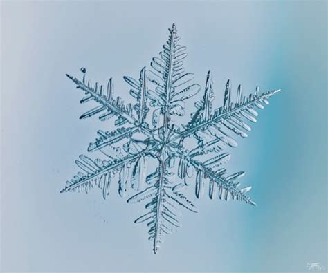 Heres Why No Two Snowflakes Are Alike The Weather Network