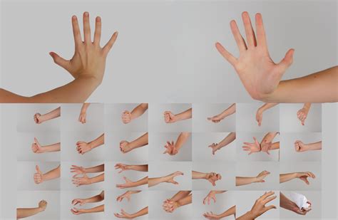 Hand Poses Stock Pack By Danika Stock On Deviantart