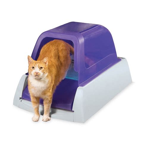 Walmart Cat Litter Box Cat Meme Stock Pictures And Photos