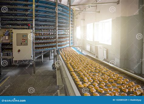 Food Factory Fabrication Industrial Conveyor Belt Or Line With Process