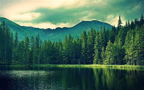 Nature Landscape Mountains Lake Trees Wallpaper Coolwallpapersme