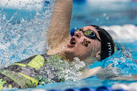 Missouri Swimming And Diving Sweeps NC State Kentucky Arkansas In Two Day Quad Meet Swimming