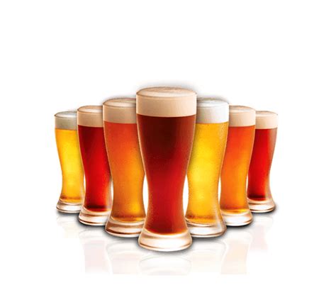 Collection Of Pints Beer Transparent Png Stickpng